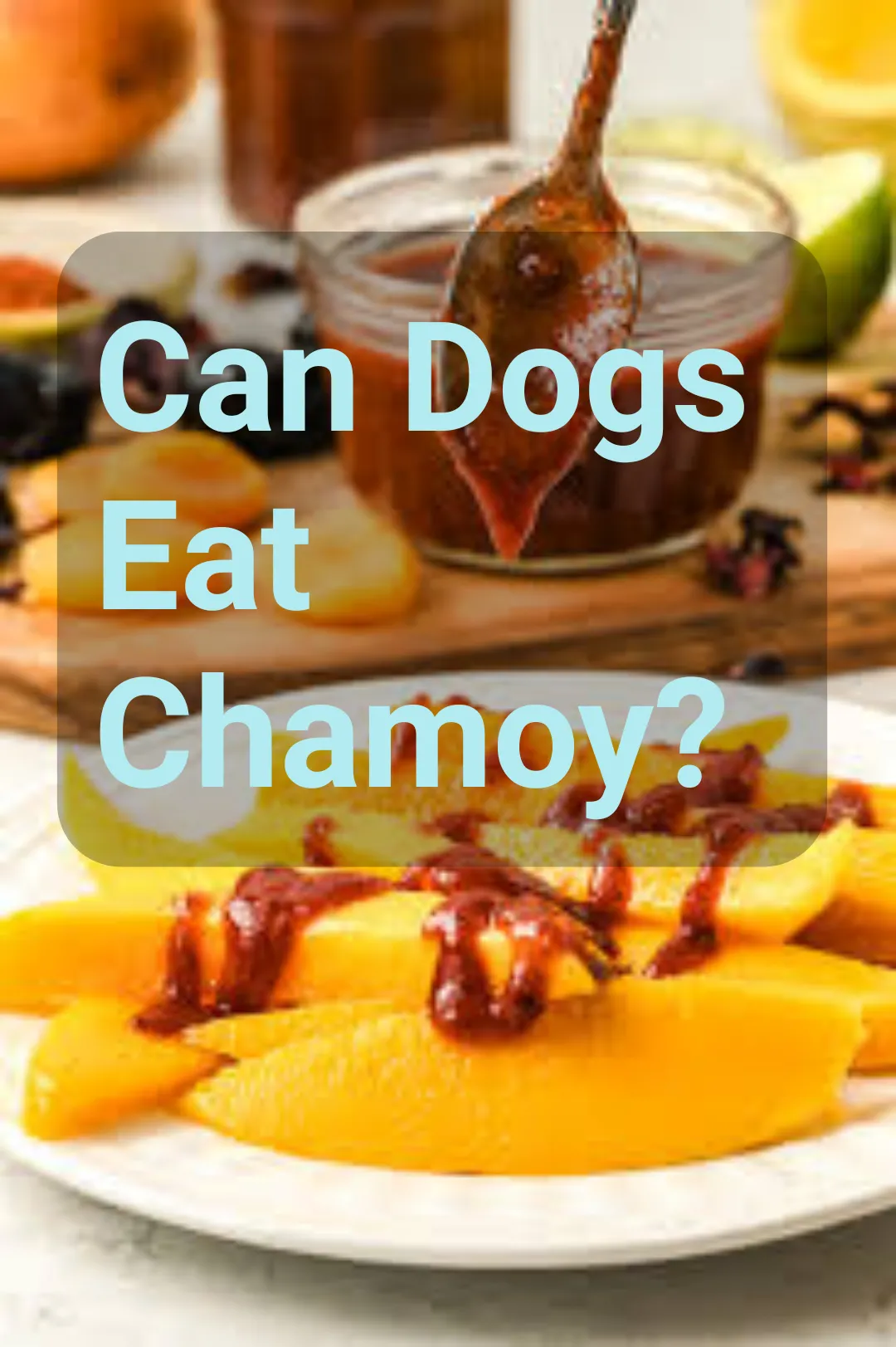 Can Dogs Eat Chamoy?