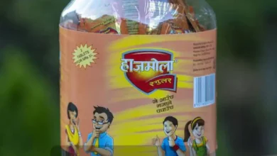 Can Dogs Eat Hajmola?