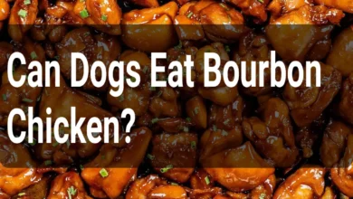 Can Dogs Eat Bourbon Chicken?