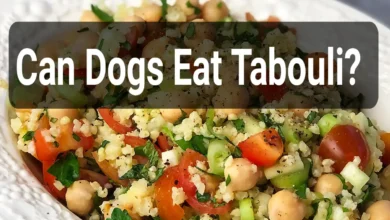 Can Dogs Eat Tabouli?