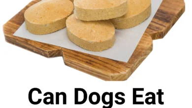 Can dogs eat polvoron?